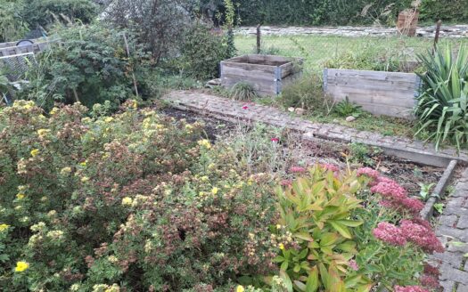 Garten in KGA Sachsenland abzugeben