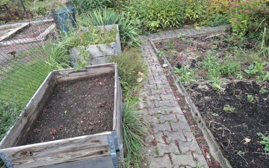 Garten in KGA Sachsenland abzugeben