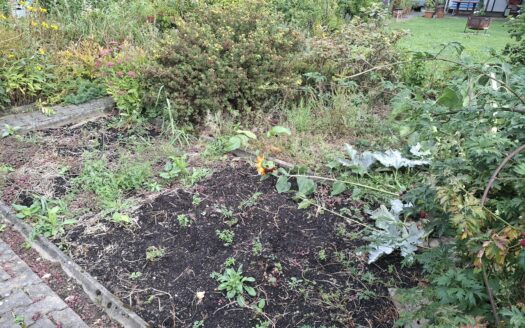 Garten in KGA Sachsenland abzugeben