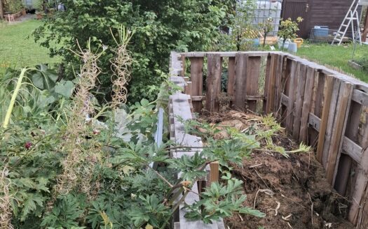 Garten in KGA Sachsenland abzugeben