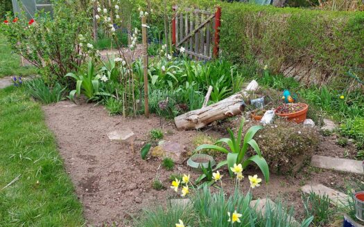 Schöner, gepflegter Garten in KGA Am Biel abzugeben