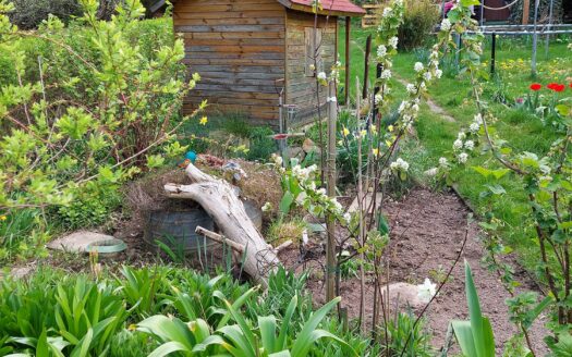 Schöner, gepflegter Garten in KGA Am Biel abzugeben