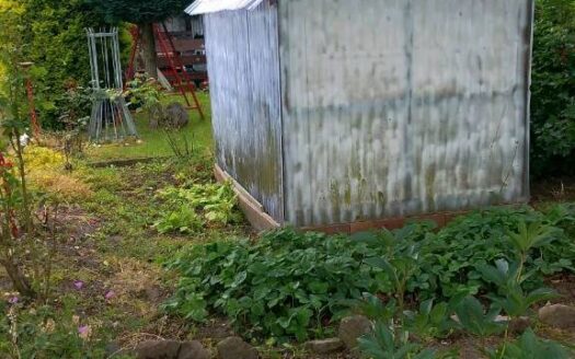 Garten in KGA Stiller Winkel abzugeben