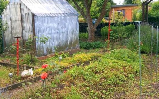 Garten in KGA Stiller Winkel abzugeben