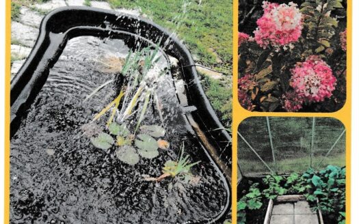 Schöner Garten in KGA Lichte Höhe abzugeben