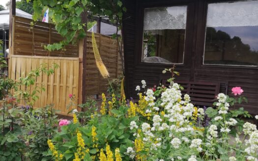 Gepflegter Garten in KGA „Am Hammerwald“ abzugeben