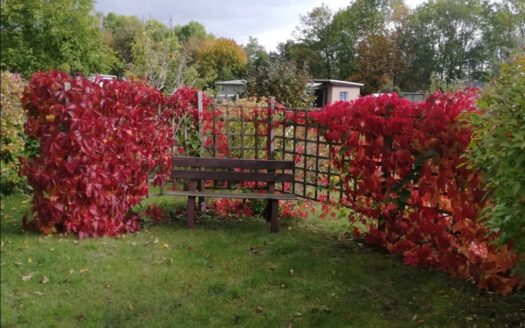 Gepflegter Garten in KGA „Am Hammerwald“ abzugeben