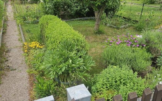 Gepflegter Garten abzugeben
