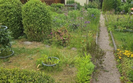 Gepflegter Garten abzugeben