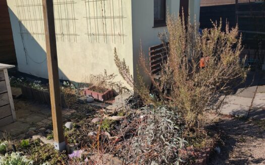 Gepflegter Garten abzugeben