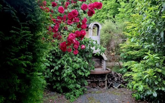 pflegeleichter Garten KGA Gudrunstraße e.V.
