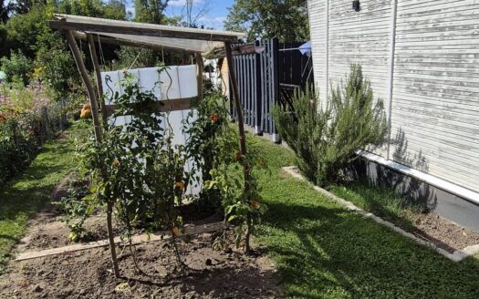 sehr gepflegter Garten in KGV „Am Brückenberg“ e.V. abzugeben