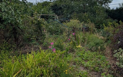 Garten in KGV „Birkenweg“ e.V. abzugeben
