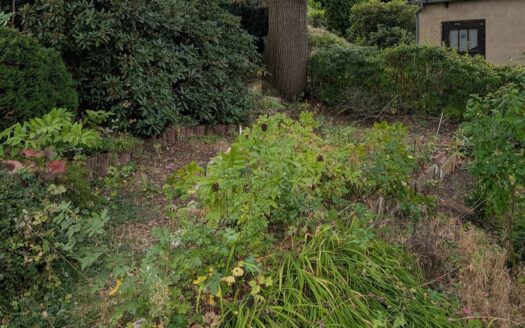 Garten in KGV „Birkenweg“ e.V. abzugeben
