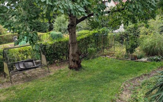 Garten in KGV „Birkenweg“ e.V. abzugeben